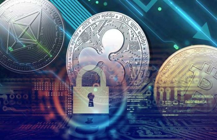 cryptocurrency data protection